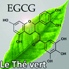 The vert EGCG